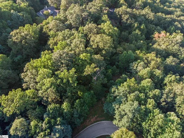 92 Moccasin Flower Trl, Landrum, SC 29356