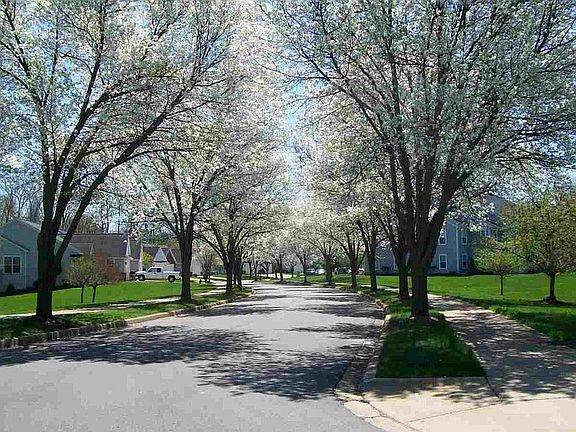 2nd image of 932 Oak Brook Dr