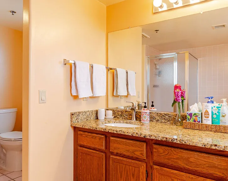 W Placita Del Correcaminos Unit Tucson Ave — Photo 19