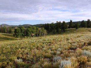 101 Cold Springs Rd #48, Westcliffe, CO 81252