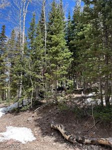 380 N Forest Dr, Brian Head, UT, 84719