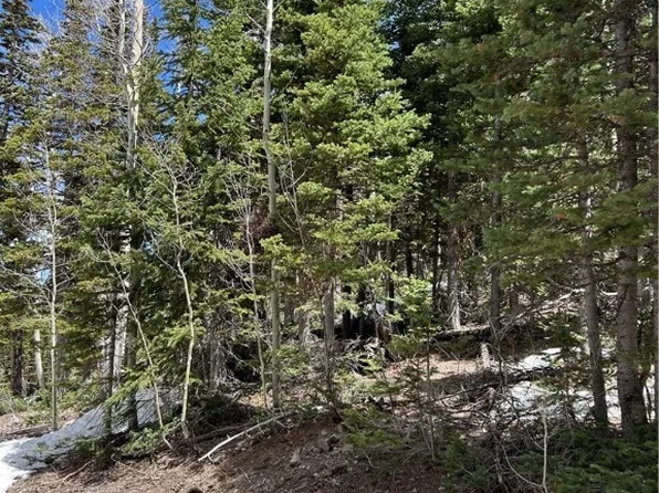 380 N Forest Dr, Brian Head, UT 84719