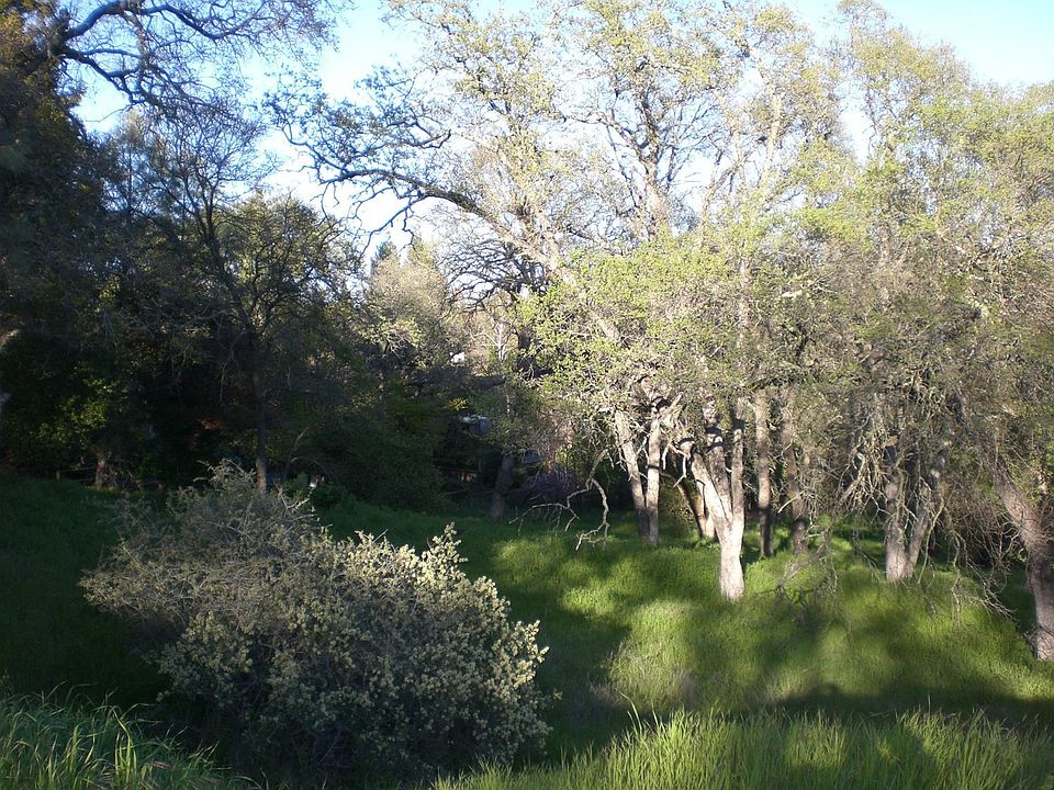 1st image of 98 Cascade Falls Dr