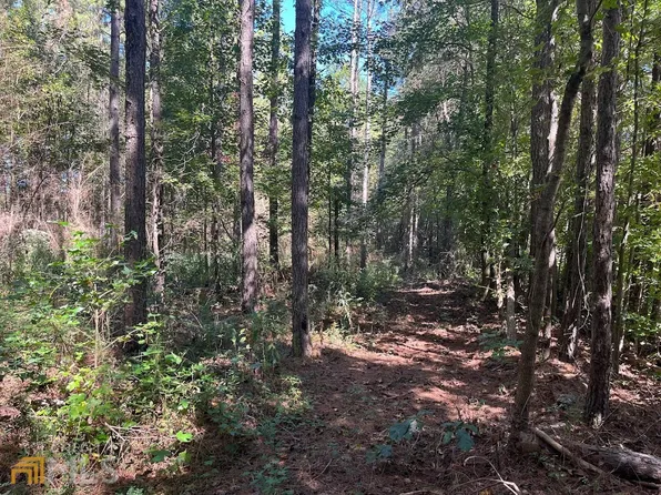0 Needmore Rd, Roopville, GA 30170