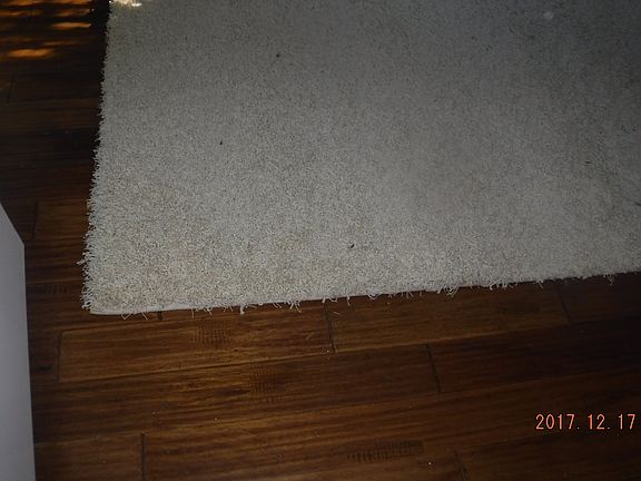 New Rug (stays) w House
Den 