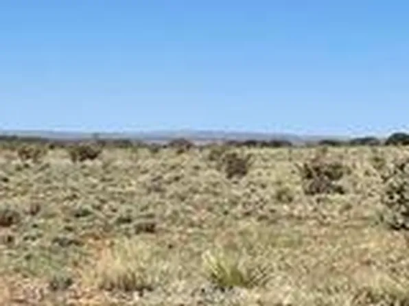262 Fenceline, Carrizozo, NM 88301