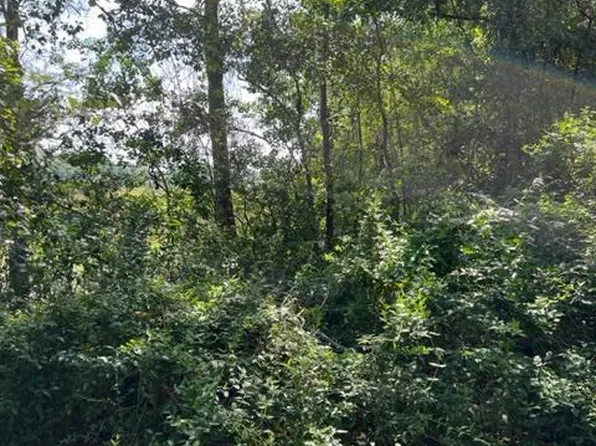 0 Orrell Dr, Gautier, MS 39553