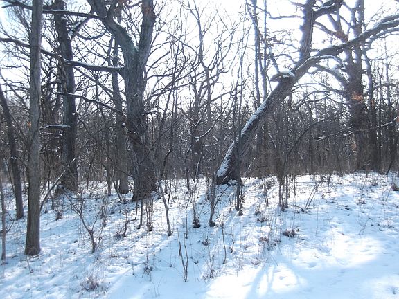 5th image of 124 Indian Hills Dr