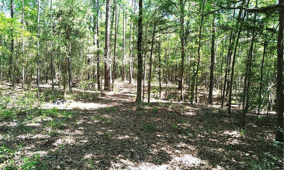 1st image of PARCEL 41620 County Road 4720
