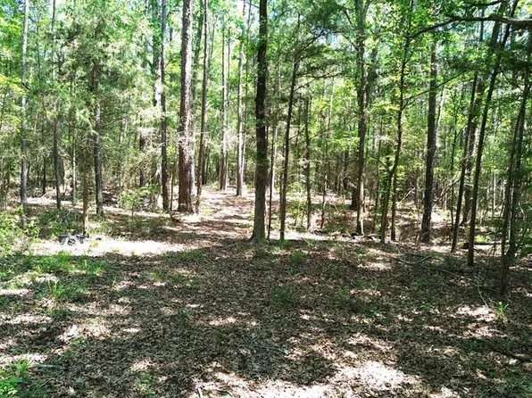 PARCEL 41620 County Road 4720, Kennard, TX 75847