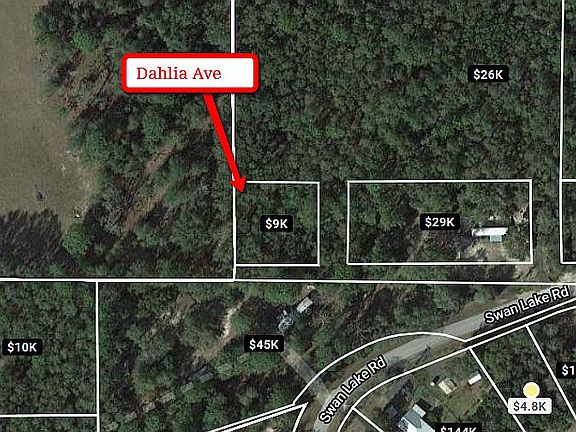 3rd image of Dahlia Ave