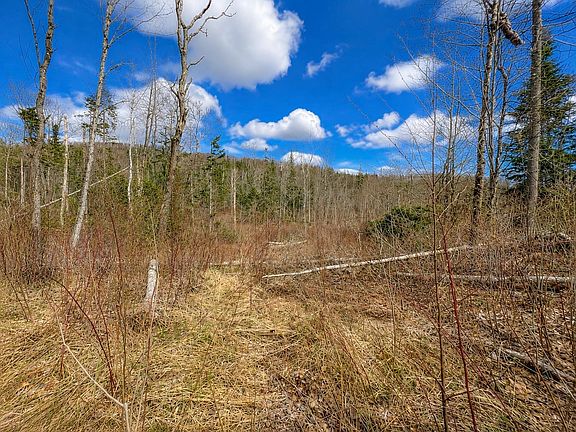 5th image of 2900 Old Duck Pond Road
