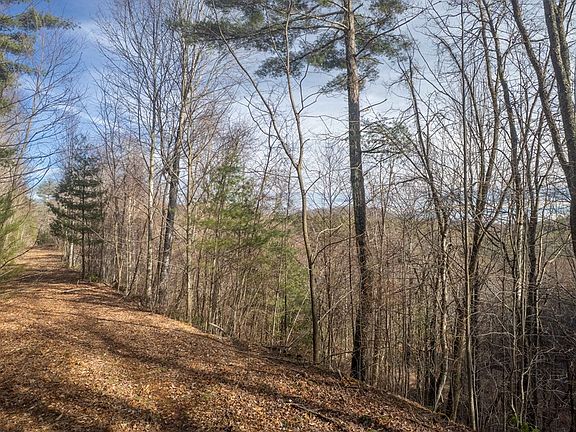 5th image of 0 Wolf Knob Rd