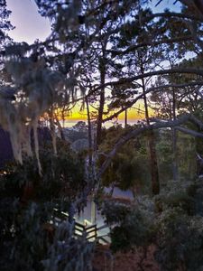 1148 Patterson Ln, Pacific Grove, CA, 93950