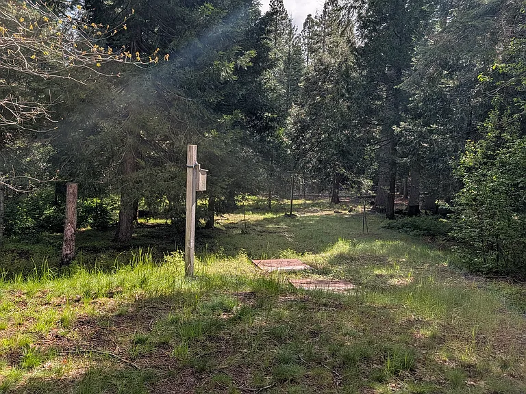 Ponderosa Dr — Photo 17