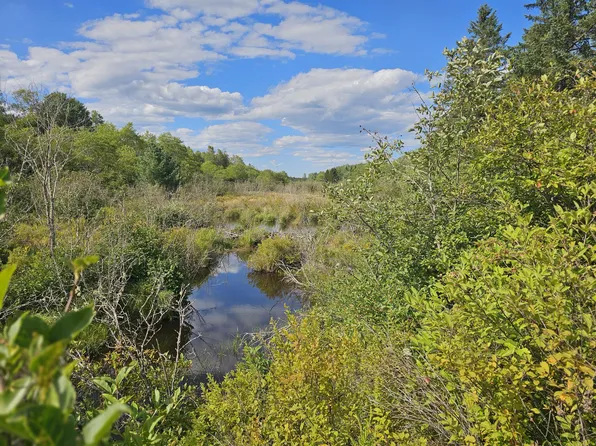 M2, L4 Off Sacarap Road, Columbia, ME 04623