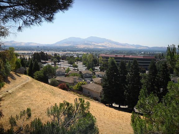 View of Mt Diablo