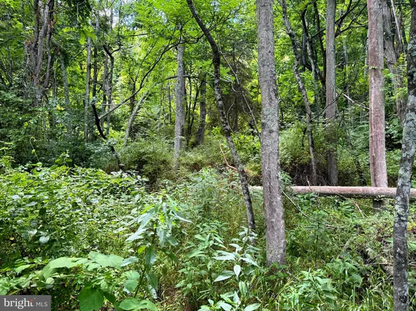 S Fork Rd, Moorefield, WV 26836