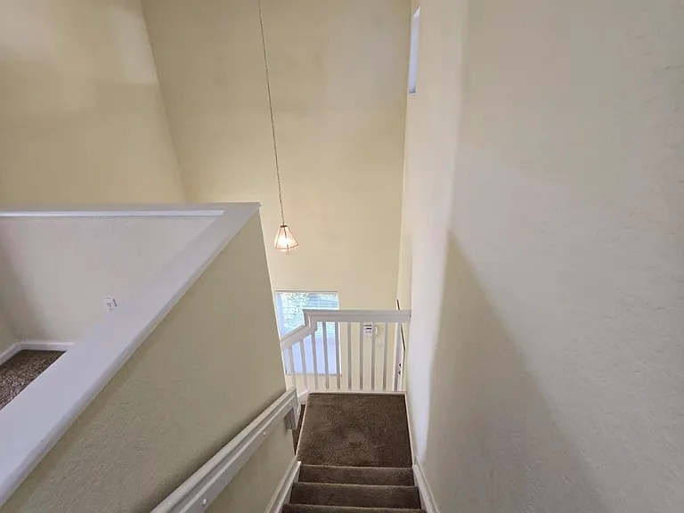 4701 Cohune Palm Ct — Photo 7