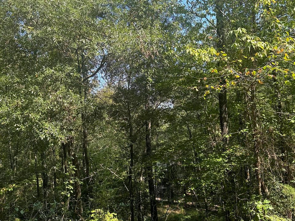 2nd image of Lake Lurleen Rd