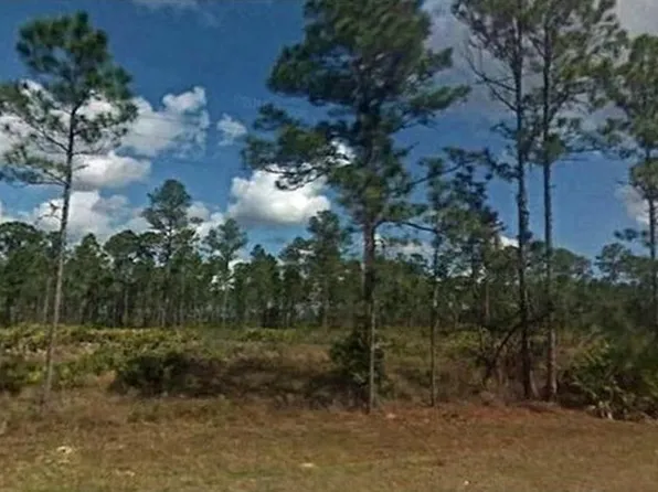 1013 Gardenia Dr, Lake Wales, FL 33855