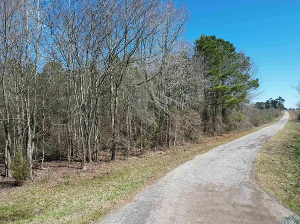 County Road 3204, Daingerfield, TX 75638