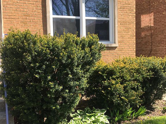 2nd image of 4926 Hull St