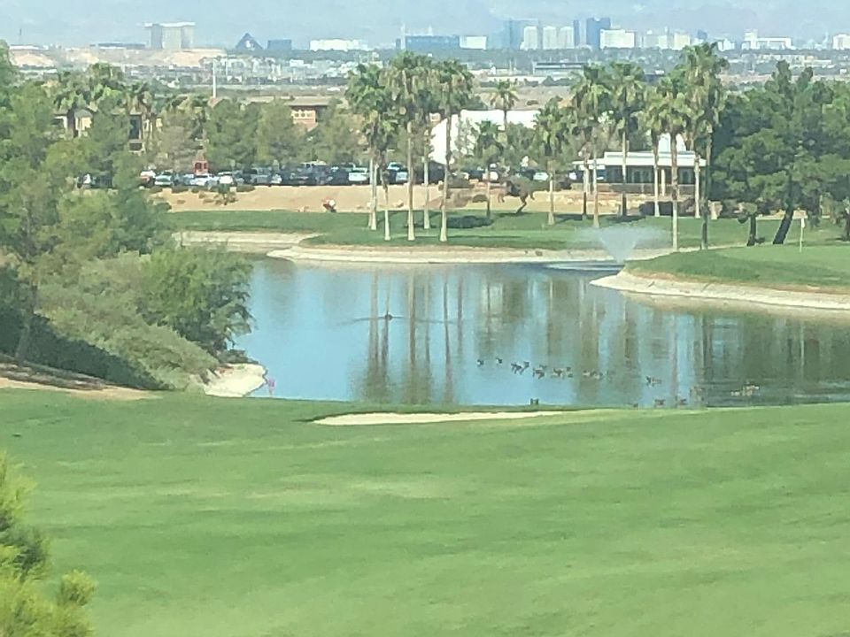 View home on the 18th tee, Lake, Strip, mountains.
