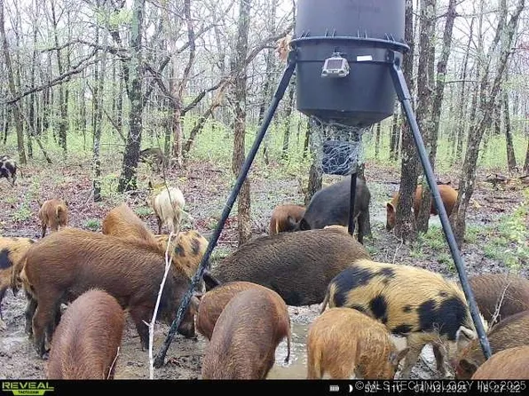 0 Hectorville Rd, Mounds, OK 74047