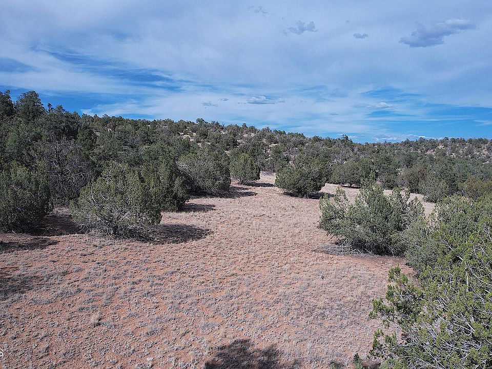 52471 N Camino Gato Seligman, AZ, 86337 Apartments for Rent Zillow