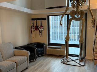 1221 N Dearborn St APT 606N, Chicago, IL 60610