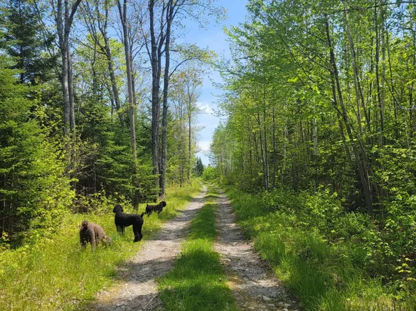 Lot 2 Bayside Road, Ellsworth, ME 04605