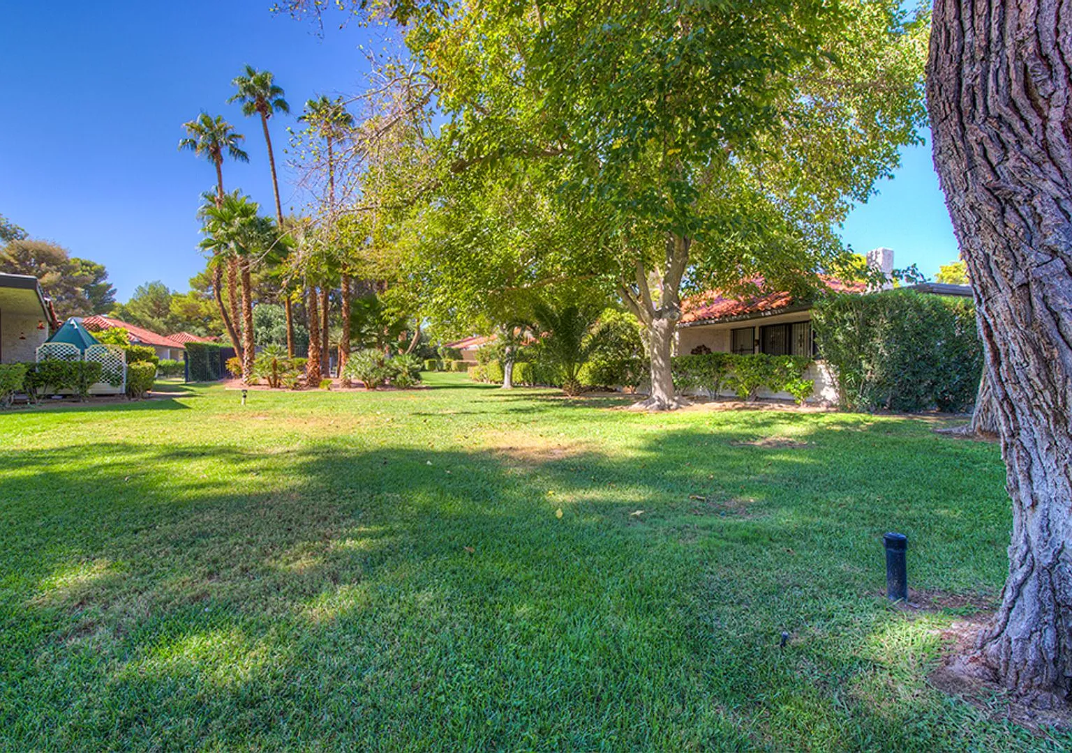 2574 Pera Circle, Las Vegas, NV 89121 — Photo 3
