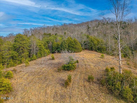 5th image of 185 Manning Rd