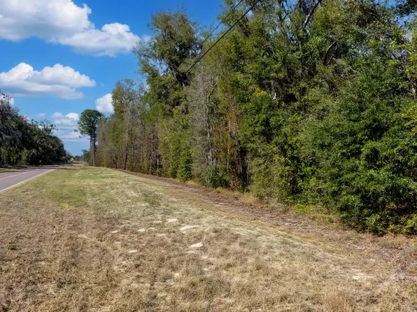 NE County Road 339, Trenton, FL 32693