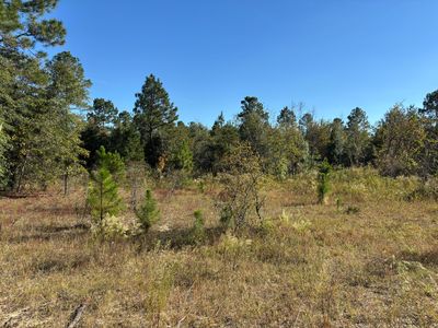 Pearl Bonnett Rd, Windsor, SC, 29856