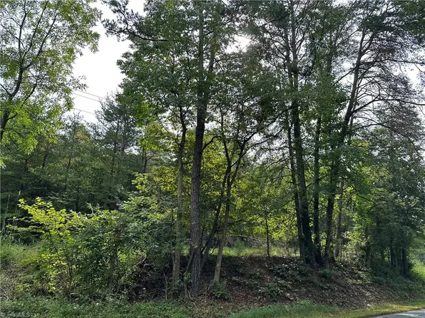 0 Stafford Mill Rd, Liberty, NC 27298