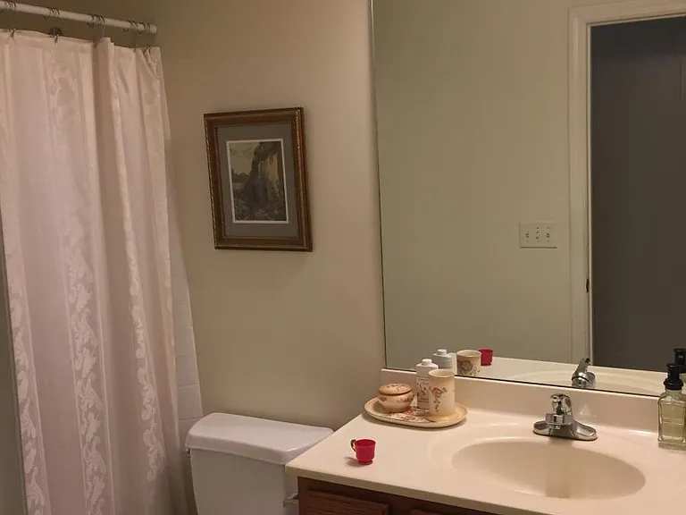 Bathroom In Master