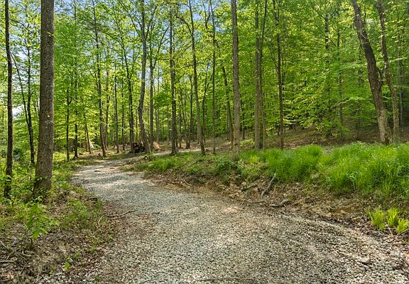 4th image of 1240 Tanner Hollow Rd