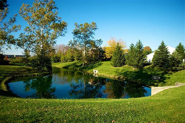 Pond