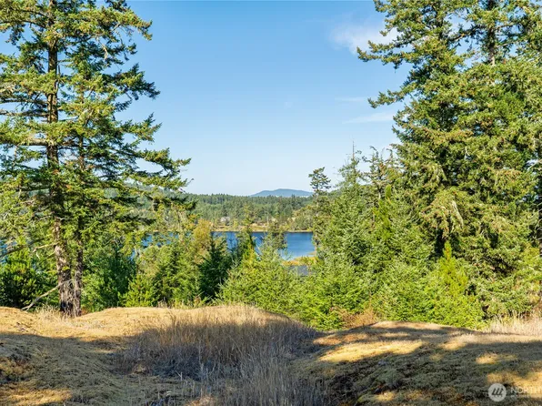 0 Woodpecker Lane, Friday Harbor, WA 98250