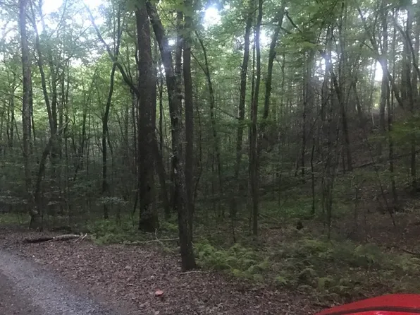 Laurelwood Cir, NC 28906