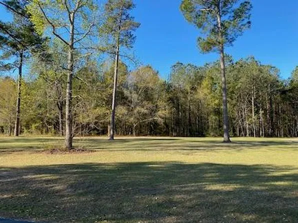 149 Woodlake Dr, Manning, SC 29102