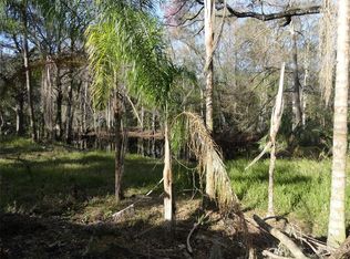 2215 Old Cypress Creek Rd #10, Land O Lakes, FL 34639