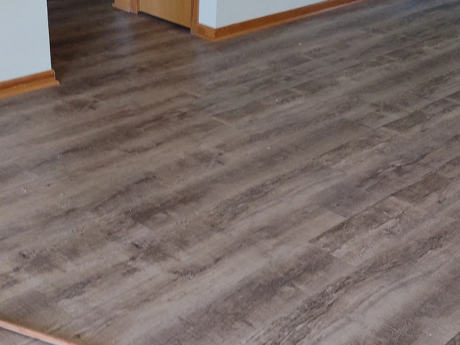 2 bed, 750 sqft, $975 — Photo 2