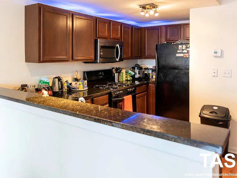 4217 W Irving Park Rd #2A — Photo 20