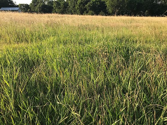 4th image of 2 County Road 496