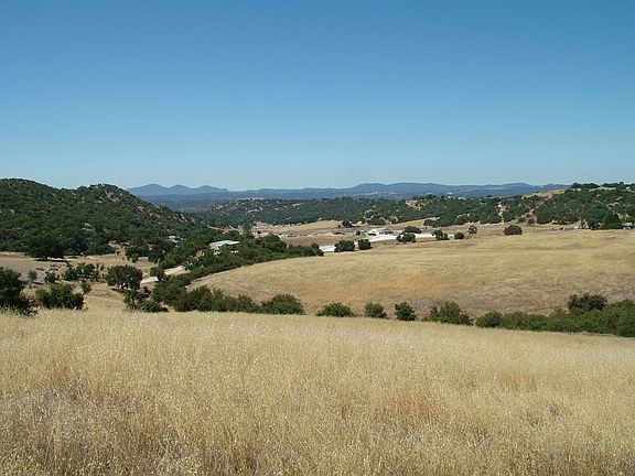 View Toward the Lake