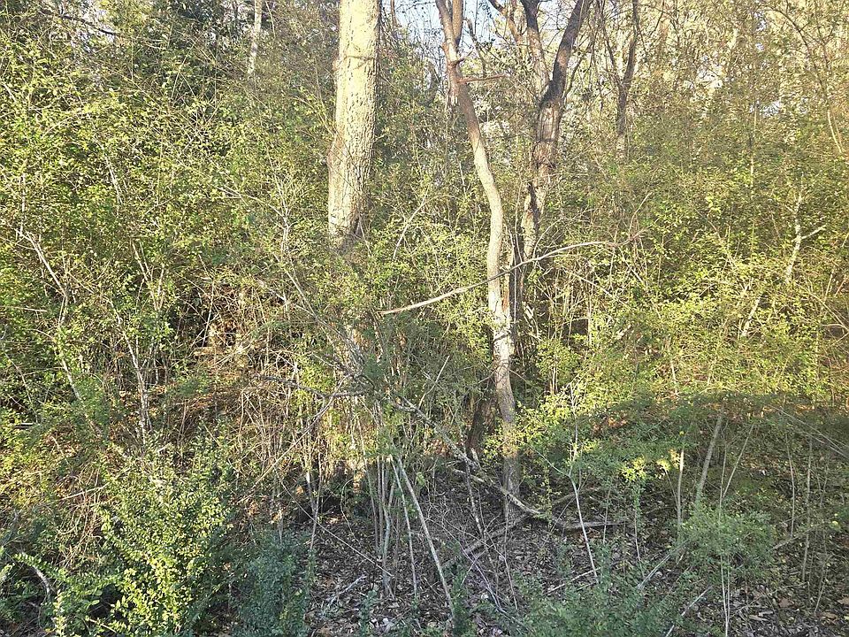 1st image of Tbp Rollingwood Hills Dr