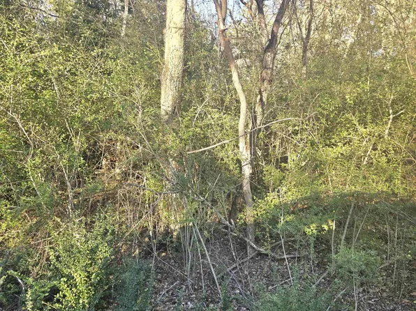 Tbp Rollingwood Hills Dr, Bullard, TX 75757